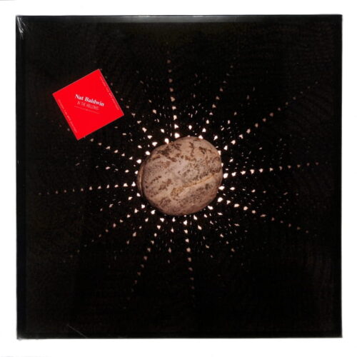 Nat Baldwin - In The Hollows US NEW
