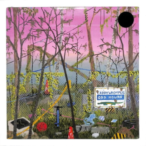 Caddywhompus - Odd Hours US NEW