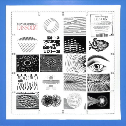Steve Hauschilds - Dissolvi EU NEW
