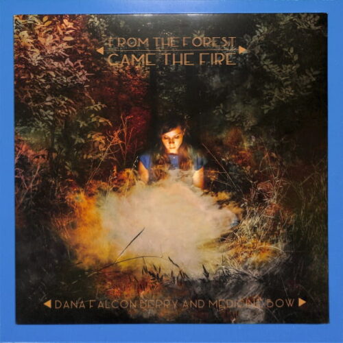 Dana Falconberry - From The Forest EU NEW