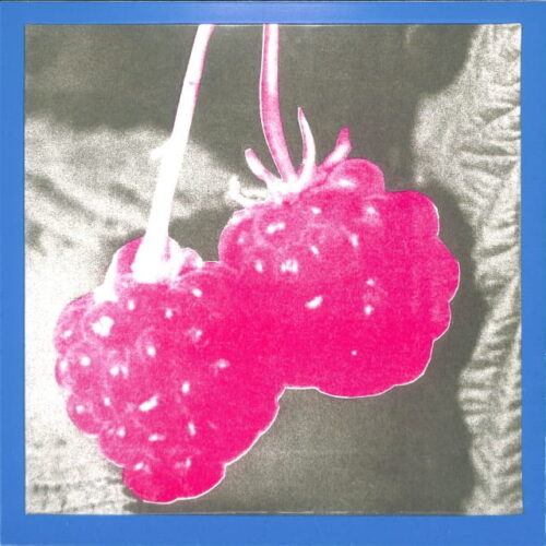 F.S. Blumm - Welcome EU NEW