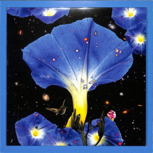 Sarah Louise - Nighttime Birds And... US NEW