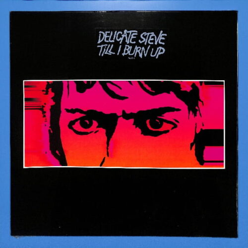Delicate Steve - Till I Burn Up EU NEW
