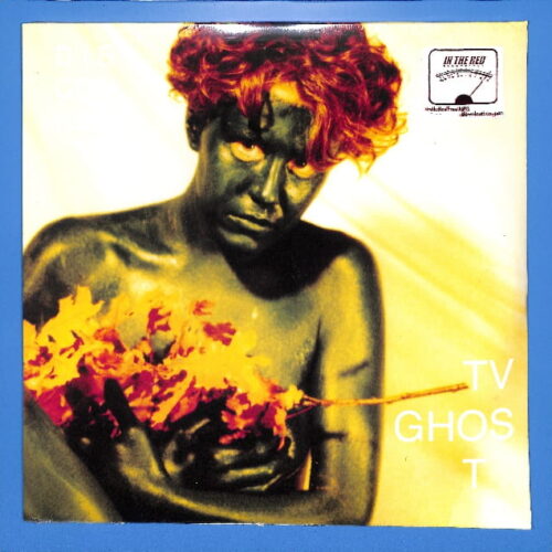 TV Ghost - Disconnect 2LP US NEW
