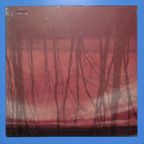 Former Thieves - The Language That... US NEW