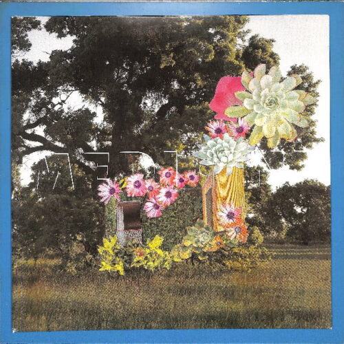 Medicine - Home Everywhere EU EX