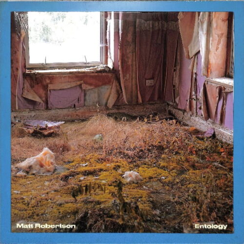 Matt Robertson - Entology EU NEW