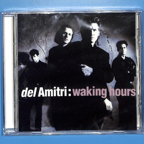 Del Amitri - Waking Hours EU New