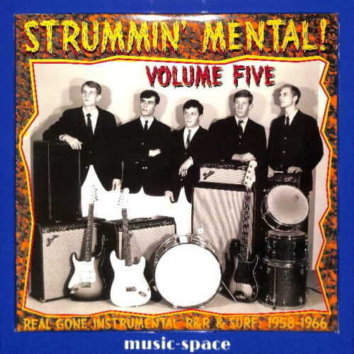 Various - Strummin' Mental! Volume Five - US NEW