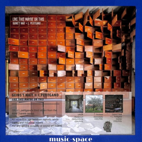 Geins't Nait + L. Petitgand - Like This Maybe ... EU NEW