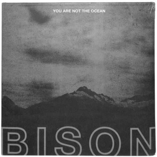 Bison - You Are Not The Ocean You Are... US NEW