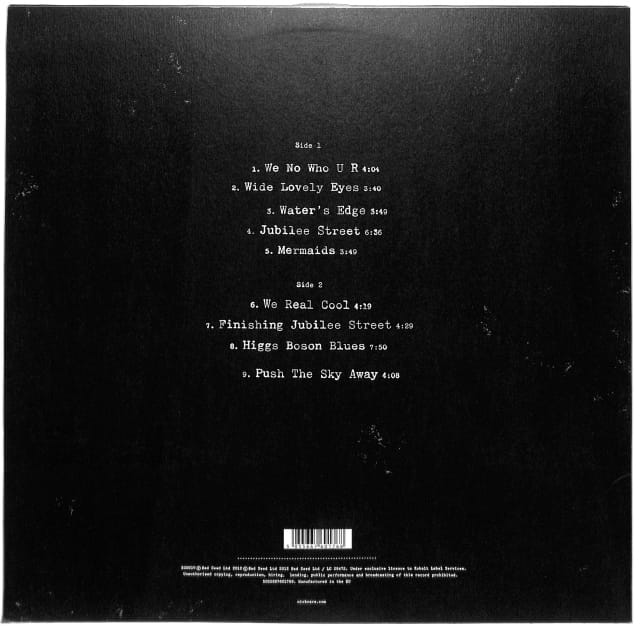 Nick Cave - Push The Sky Away EU VG - obrazek 2