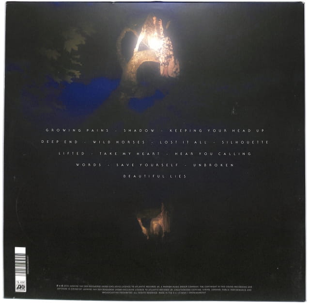 Birdy - Beautiful Lies 2LP EU VG+ - obrazek 2