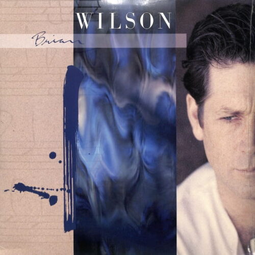 Brian Wilson - Brian Wilson 2LP EU NEW