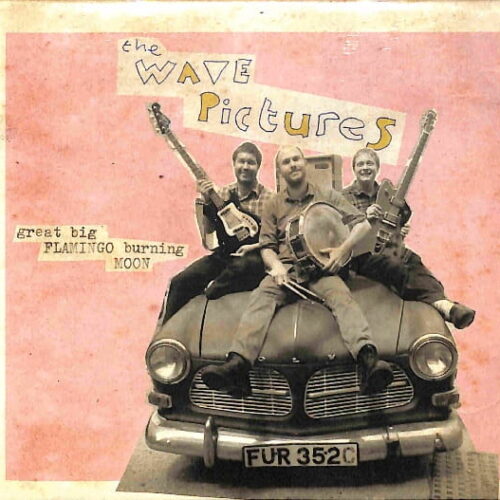 The Wave Pictures - Great Big Flamingo... EU NEW