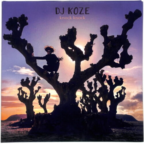 DJ Koze - Knock Knock 2LP EU EX