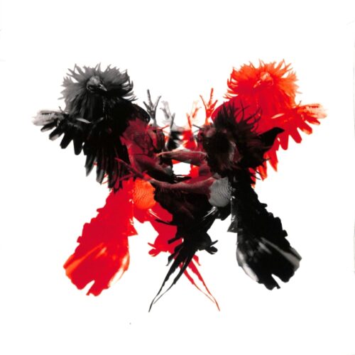 Kings Of Leon - Only By The Night  2LP EU NEW