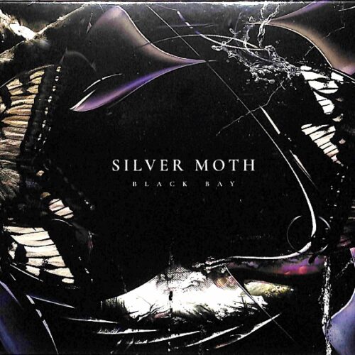 Silver Moth - Black Bay EU NEW