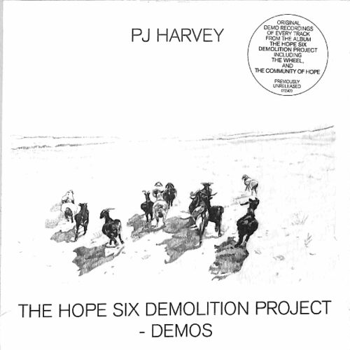 PJ Harvey - The Hope Six Demolition Project - Demos EU NEW