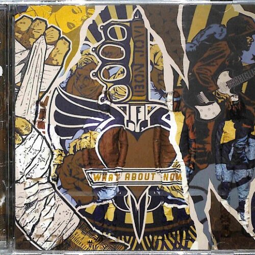 Bon Jovi - What About Now EU NEW