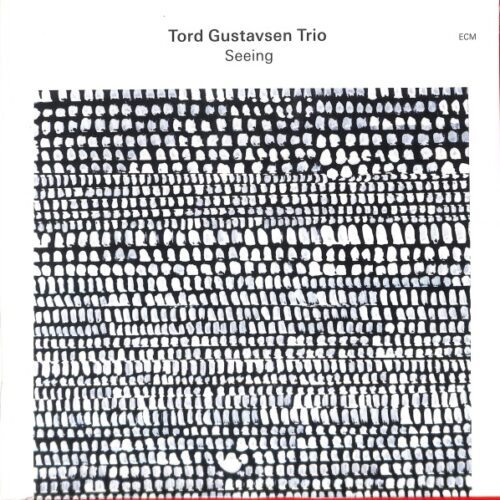 Tord Gustavsen Trio - Seeing EU NEW